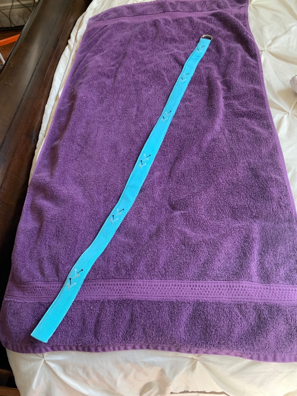 Eliza B Blue Fabric Golf Belt sz M